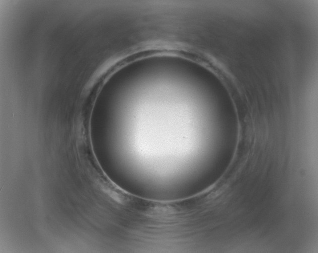 X0000082931215200702011231