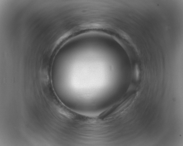 X0000082931218200702011231