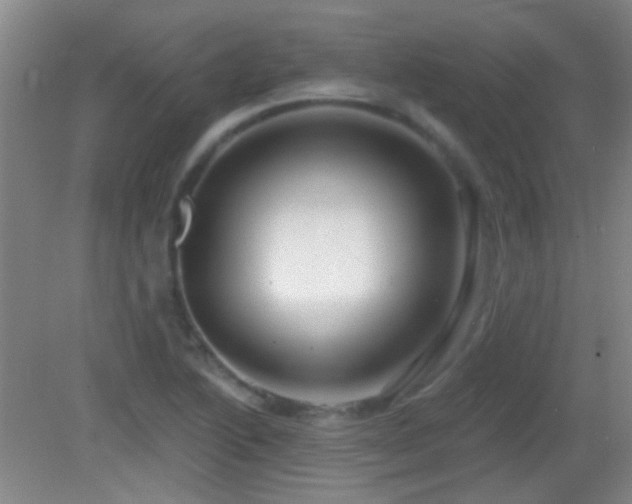 X0000082931222200702011231