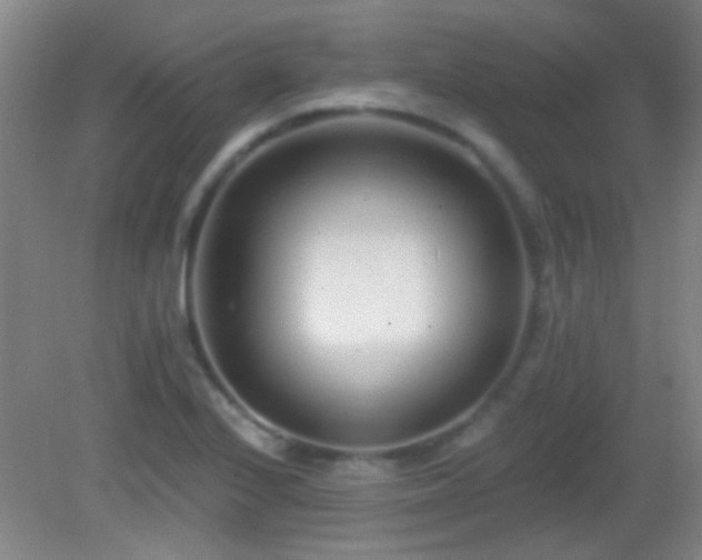 X0000082931224200702011231