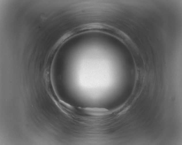 X0000082931225200702011231