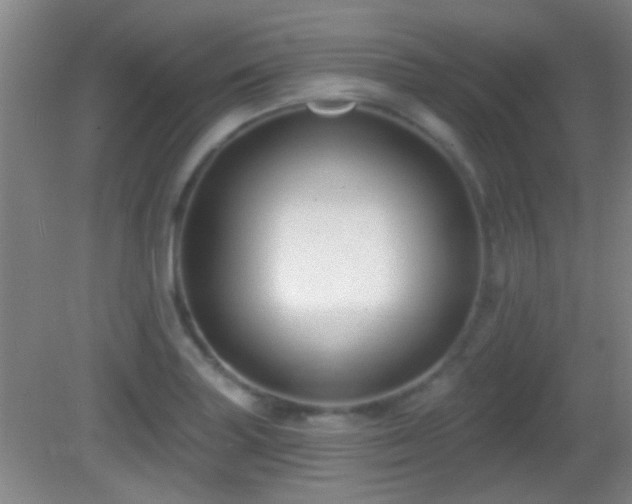 X0000082931227200702011231