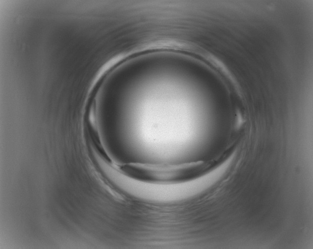 X0000082931230200702011231