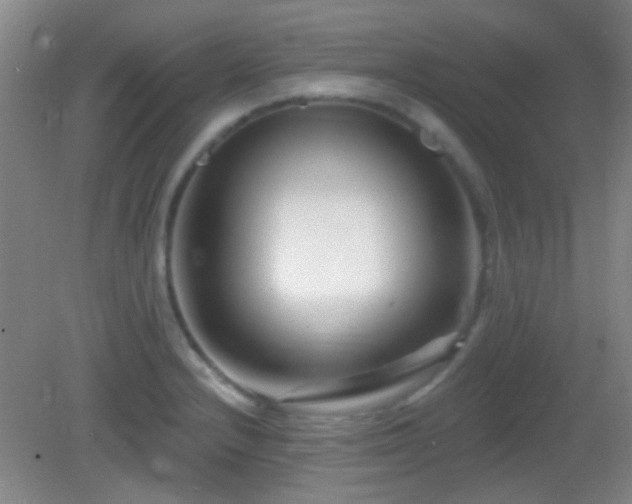 X0000082931232200702011231