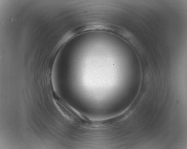 X0000082931233200702011231