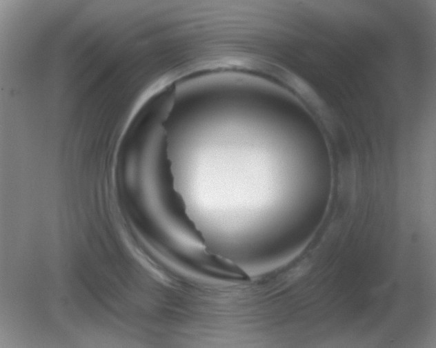 X0000082931234200702011231