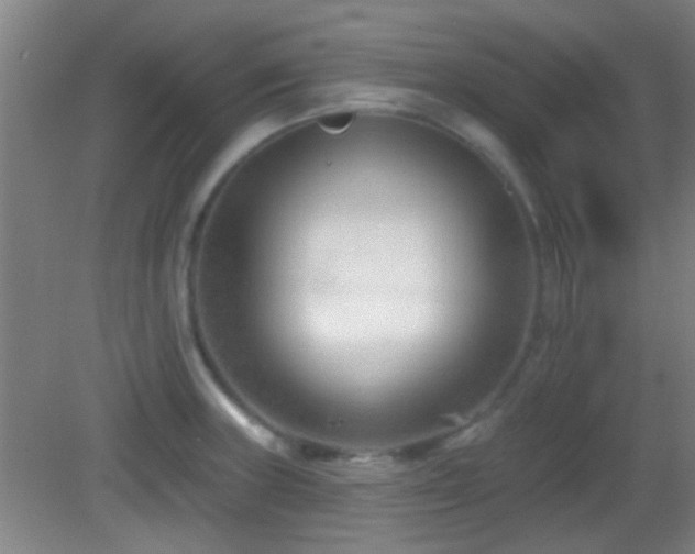 X0000082931235200702011231