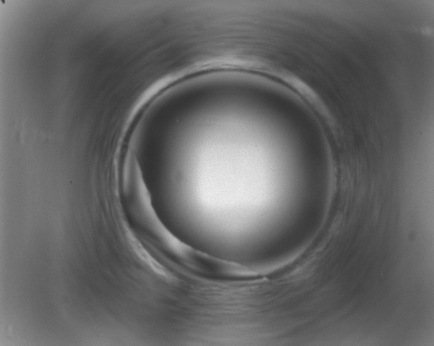 X0000082931238200702011231