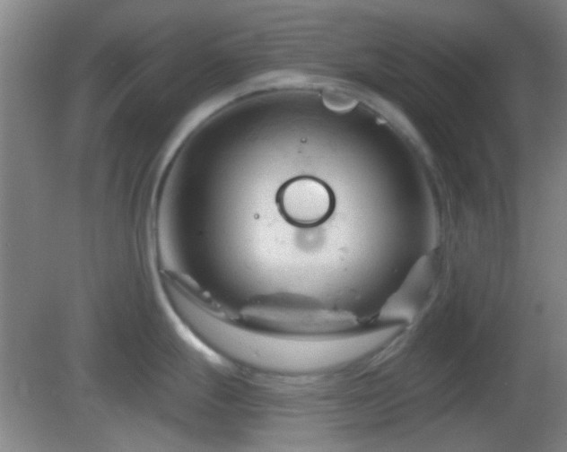 X0000082931247200702011232