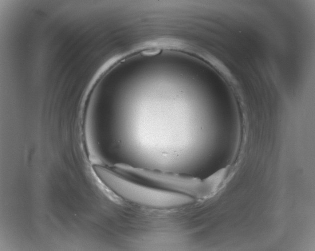 X0000082931248200702011232