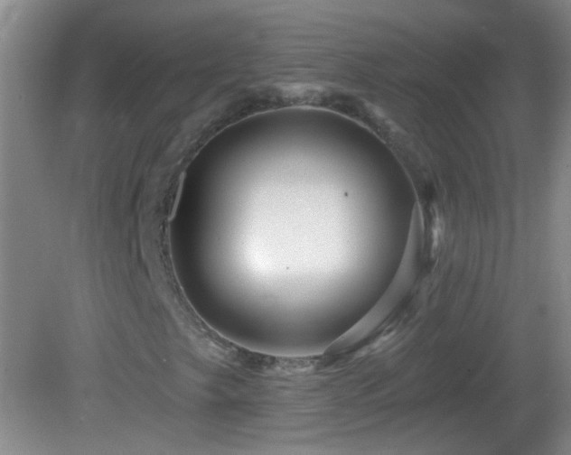 X0000082931249200702011231