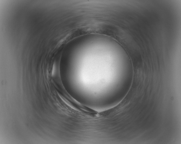 X0000082931250200702011231