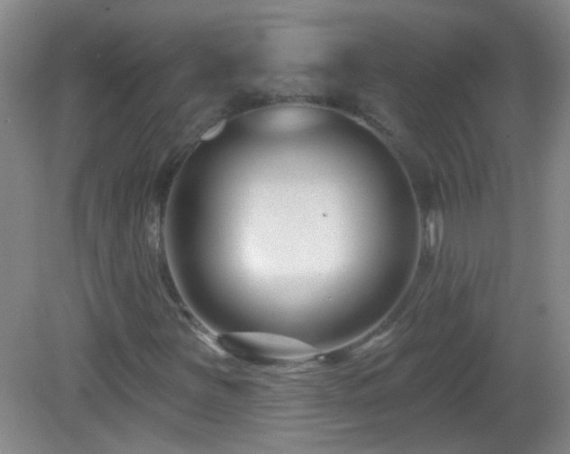X0000082931251200702011231