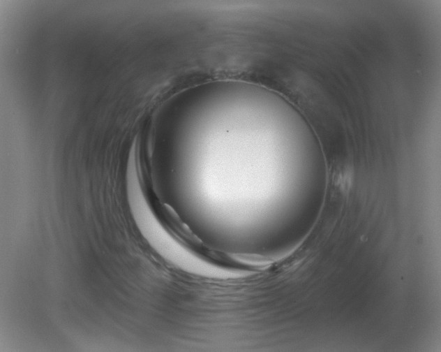 X0000082931252200702011231