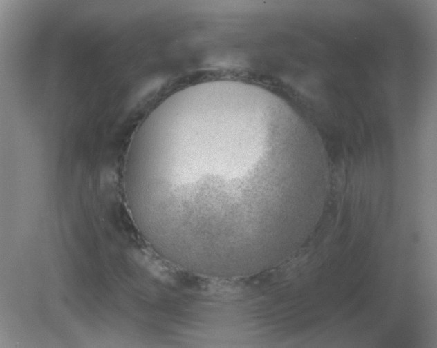 X0000082931254200702011231