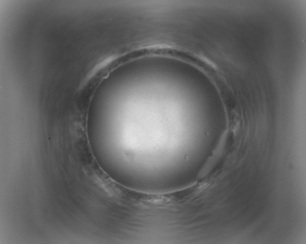 X0000082931255200702011231