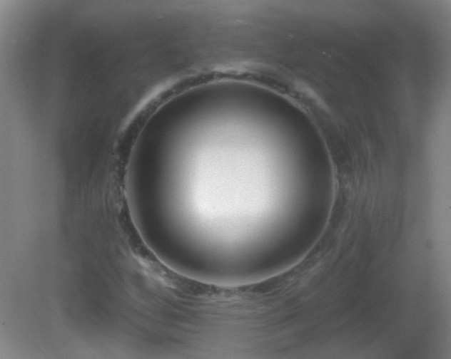 X0000082931256200702011231