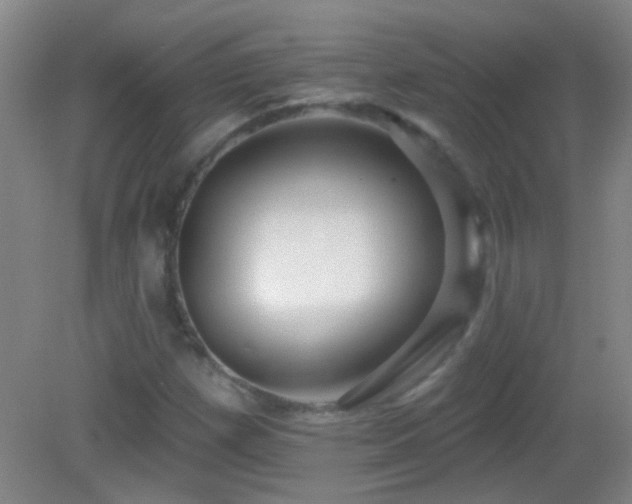 X0000082931257200702011231