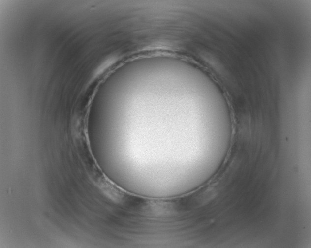 X0000082931258200702011231