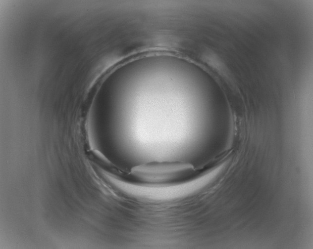 X0000082931260200702011231