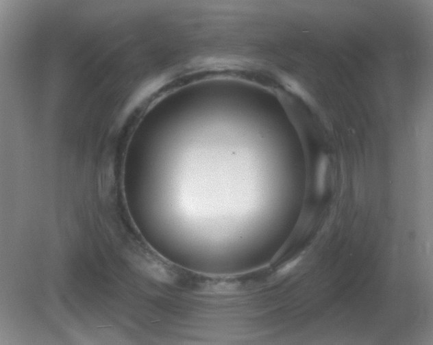 X0000082931261200702011231