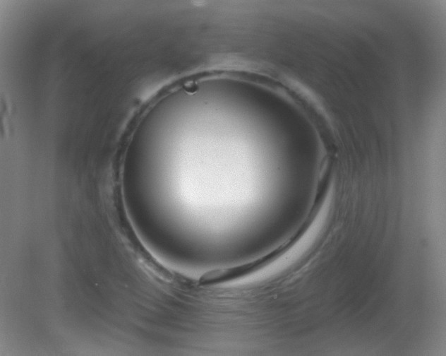 X0000082931264200702011230
