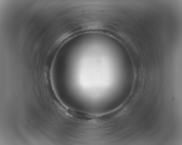 X0000082931265200702011230