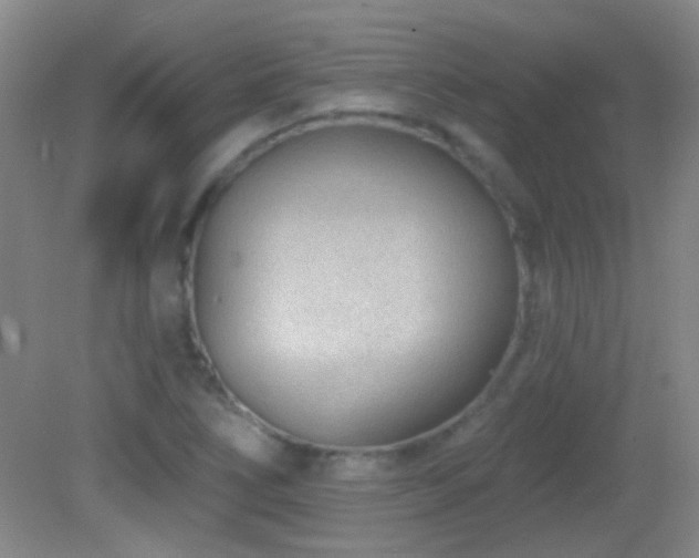 X0000082931266200702011230