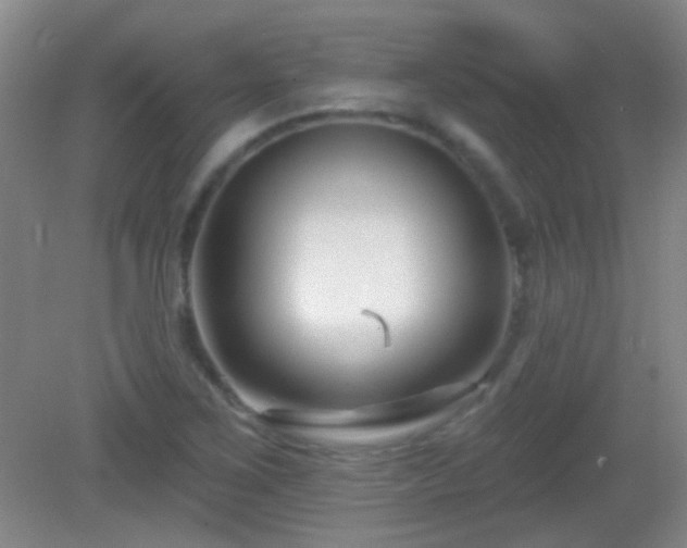 X0000082931267200702011230