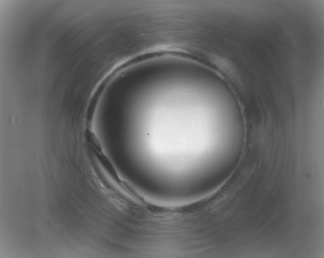 X0000082931268200702011230