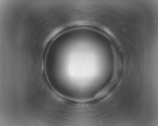 X0000082931269200702011230