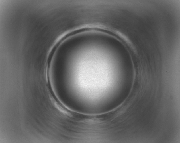 X0000082931272200702011230
