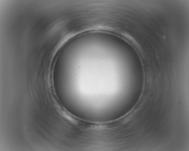 X0000082931278200702011230