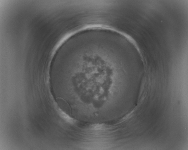 X0000082931279200702011230