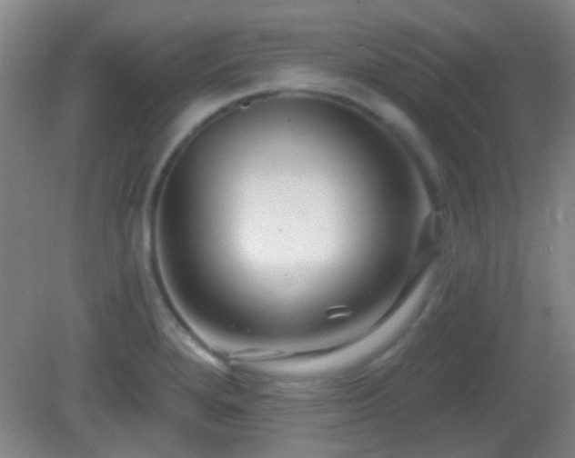 X0000082931280200702011230