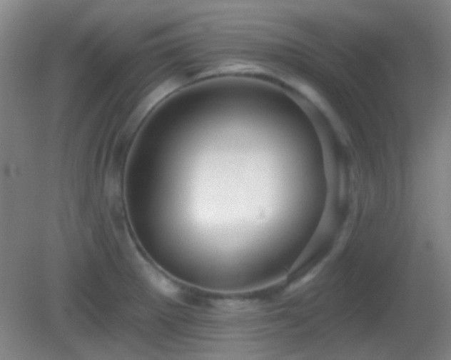 X0000082931281200702011230