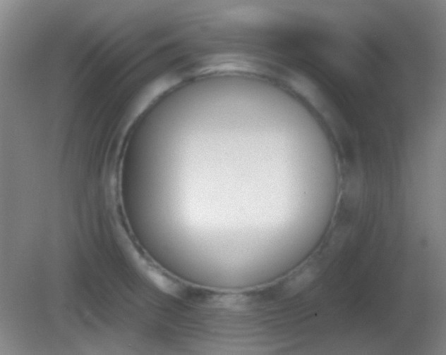 X0000082931282200702011230