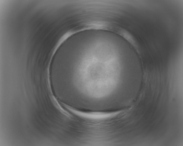 X0000082931283200702011230