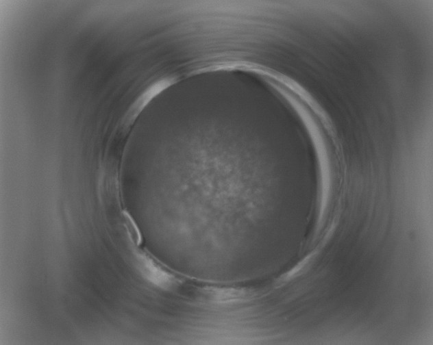 X0000082931289200702011230