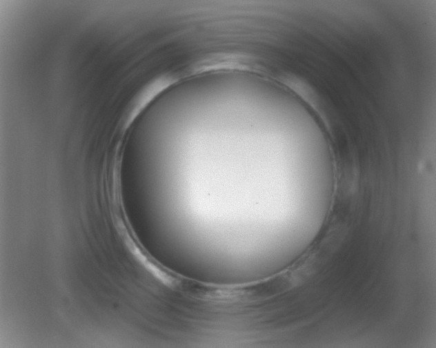 X0000082931290200702011230