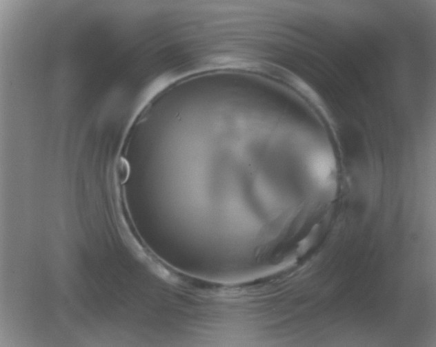 X0000082931291200702011230