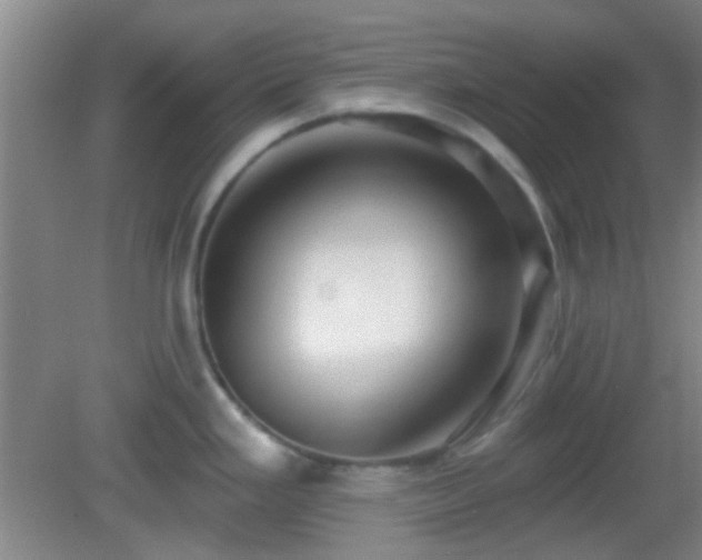 X0000082931293200702011230