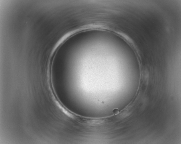 X0000082931294200702011230