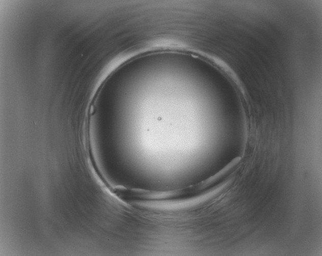 X0000082931295200702011230