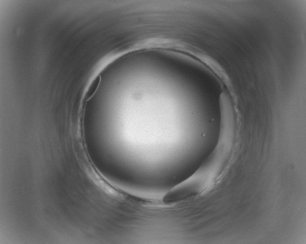 X0000082931296200702011230