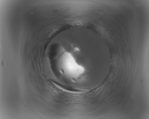 X0000082931297200702011229