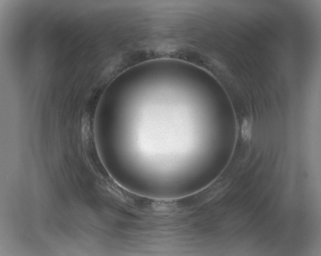 X0000082931299200702011229