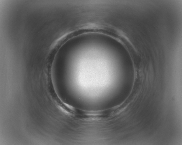 X0000082931304200702011229