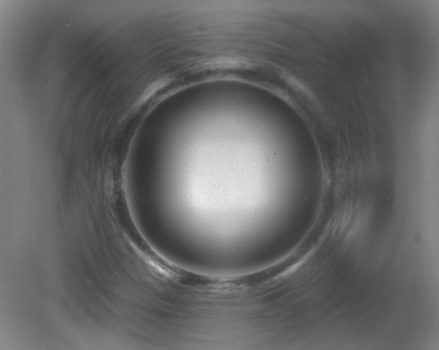X0000082931305200702011229