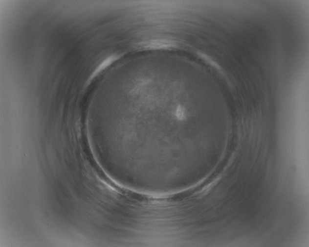 X0000082931306200702011229